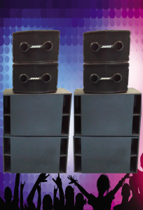 4x Bose 802 (250W RMS) 4x Eric M5.0B (400W RMS)